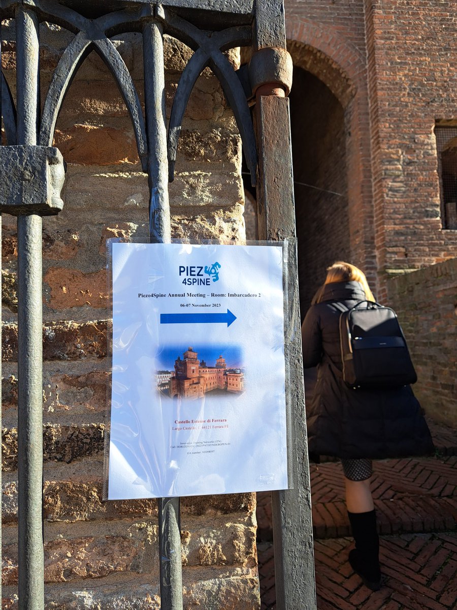 JulirosaNeuro's tweet image. We ust returned from the @Piezo4Spine Annual Meeting where we shared our data, exchange ideas, planned new goals and put together all our research with the partners of the consortium! #EICpathfinder #EUproject  @sescamtoledo team @HNParaplejicos @gobjccm