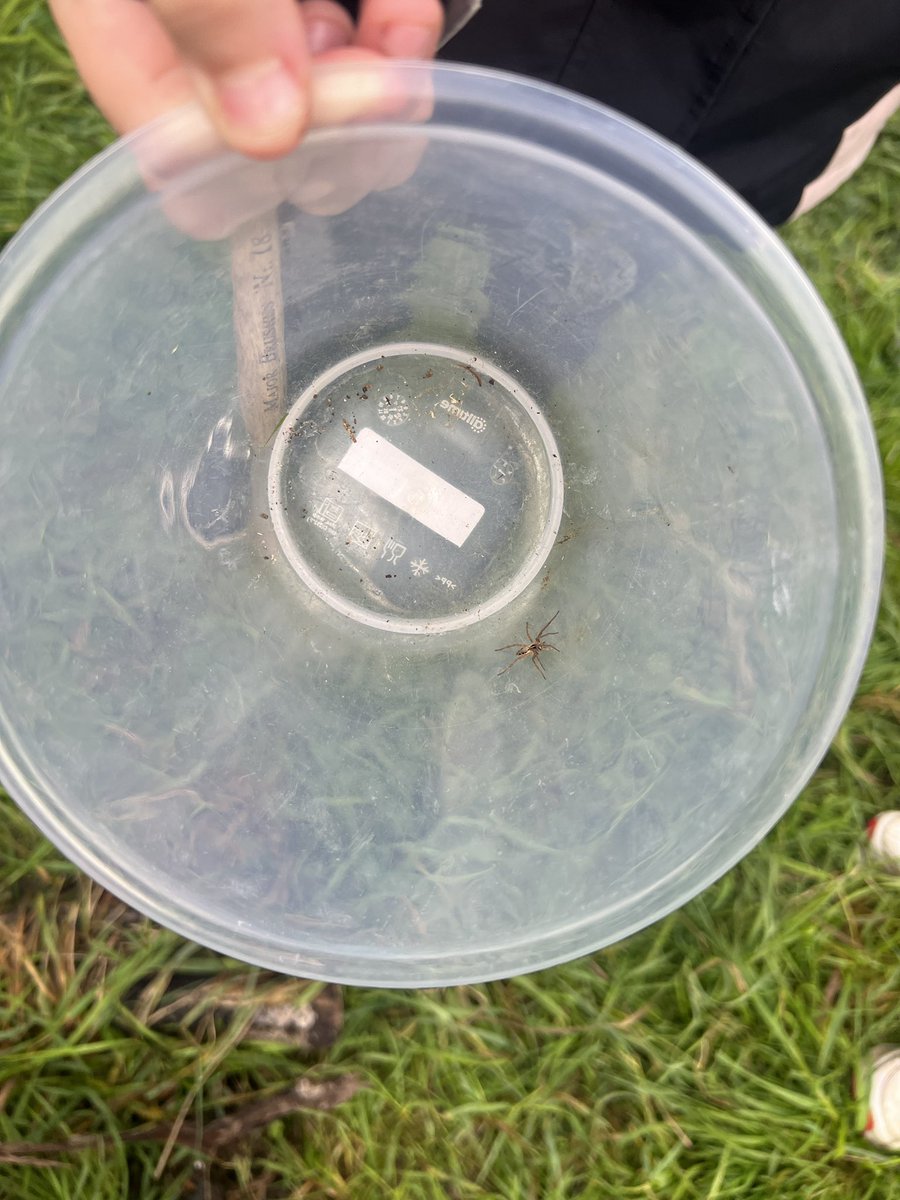 MissMerridan tweet media