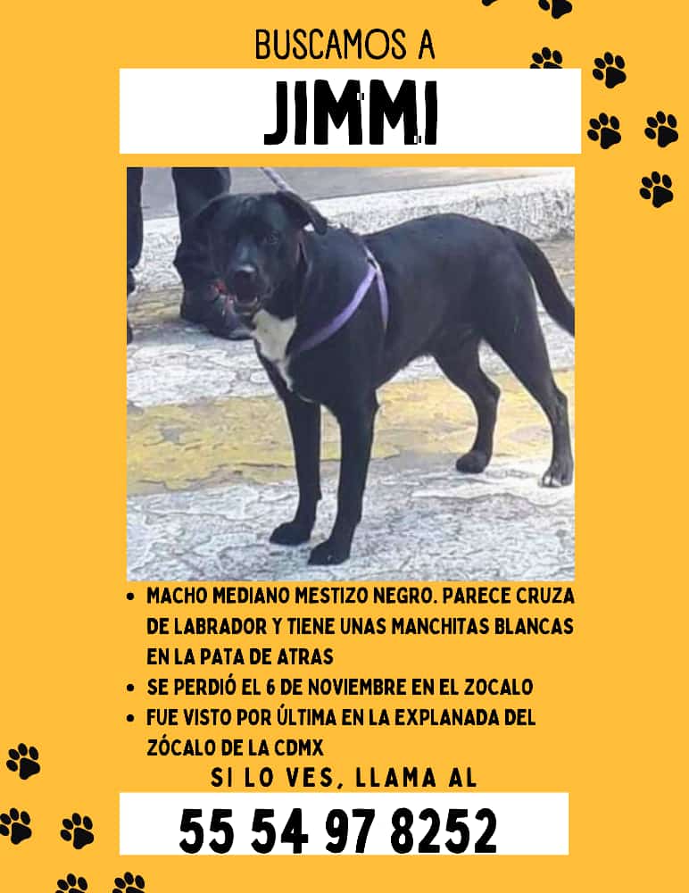 Jucaoma tweet media