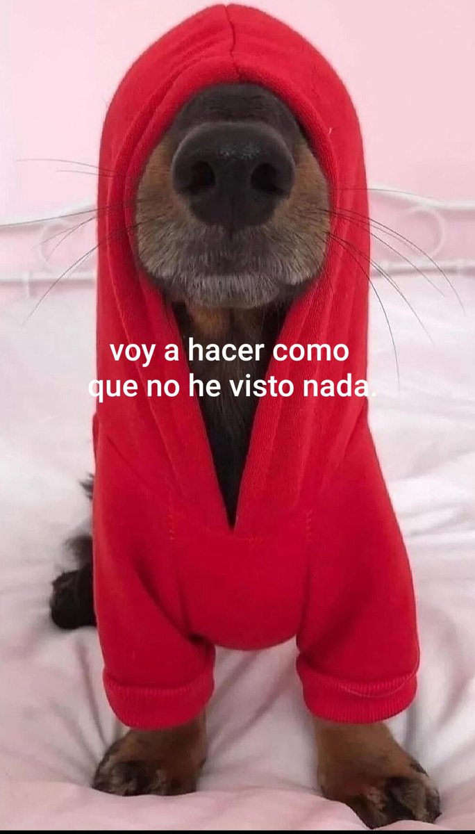 egarciazd's tweet photo. https://t.co/4J7pyu0bls