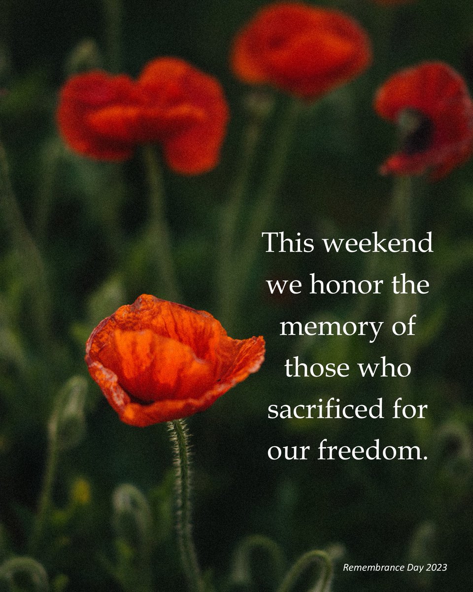 Questor Technology tweet media