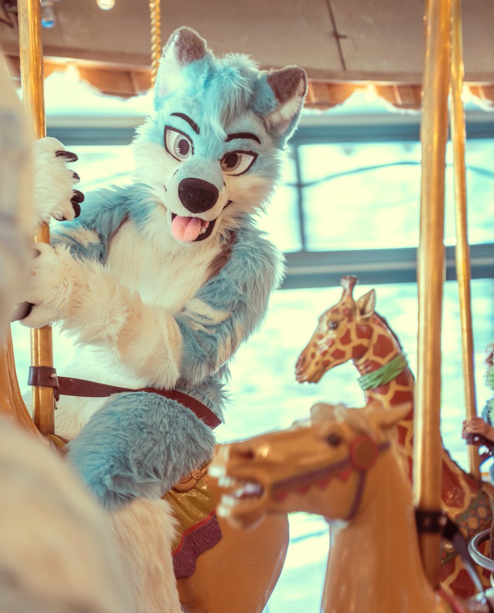 fox on a carousel 🎠😛💙 📸: @ChatahSpots 🧵🪡✂️: @wolf_daz #FursuitFriday