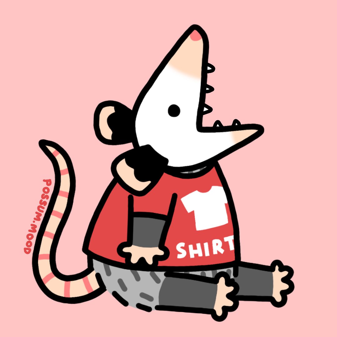 ok but would u wear a shirt that just said shirt on it or are u normal