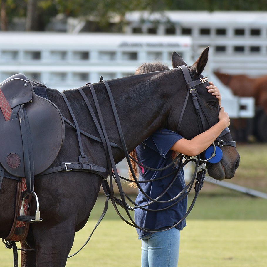 PoloAssociation's tweet image. #polopony therapy is the best kind of therapy! 🐴🩷

How do you show your ponies they are more than a teammate?