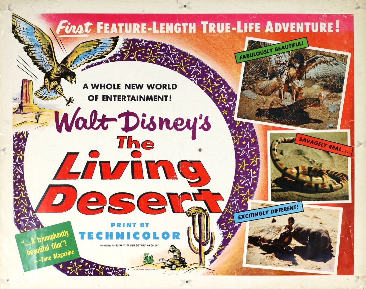 On this date 70 years ago, the first feature-length True-Life Adventures film, 'The Living Desert' (1953) was released. 'The Living Desert' marked the first film distributed by Disney's new Buena Vista Distribution Company. 🦂