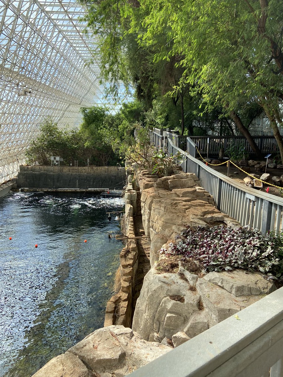 Dr. Patrick A. Biggerstaff tweet media