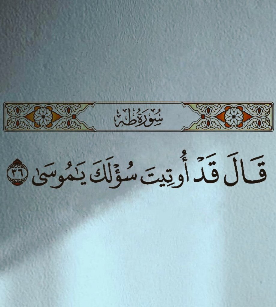 اللهم شعور هذه الآية ..❤️🌿