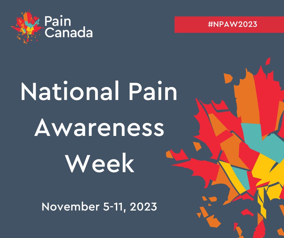 Many illnesses causing chronic pain are not widely recognized, leaving some people undiagnosed &amp; without care. Implementing <a href="/GovCanHealth/">Health Canada and PHAC</a>’s Action Plan for Pain in Canada will increase pain research in Canada. Track its progress here: PainCanada.ca/actionplan #NPAW2023