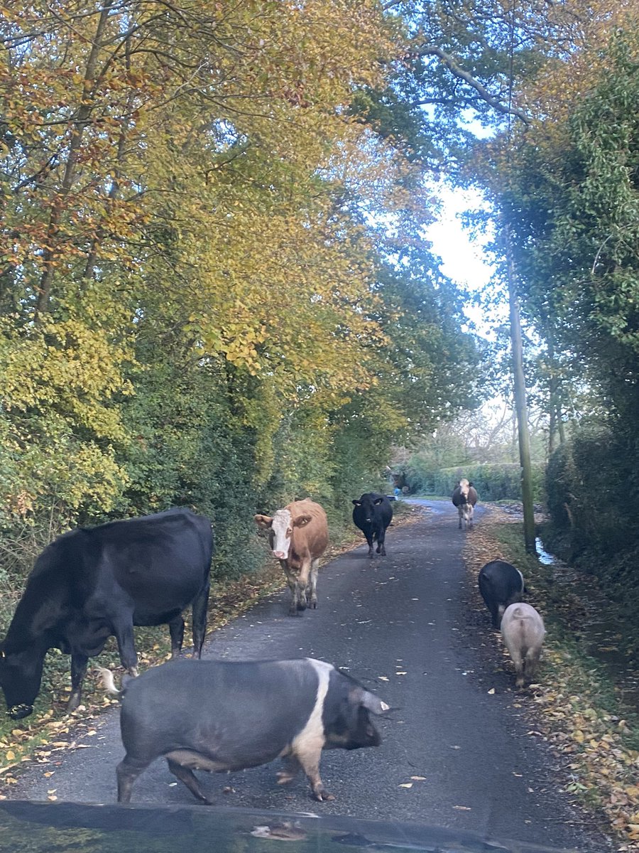 Friday evening traffic..😀