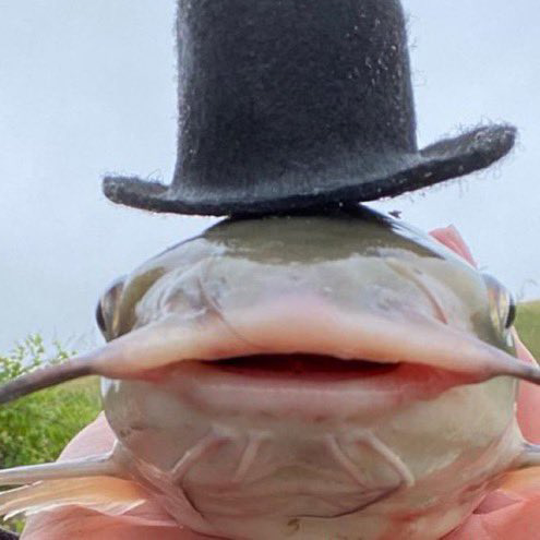 <a href="/StarlightAPM/">Starlight</a>