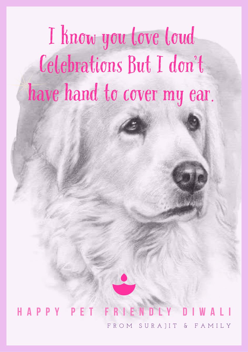 florasia's tweet photo. Let’s be pawsitive, and make it a pet-friendly Diwali this year https://t.co/hajsoXDP88