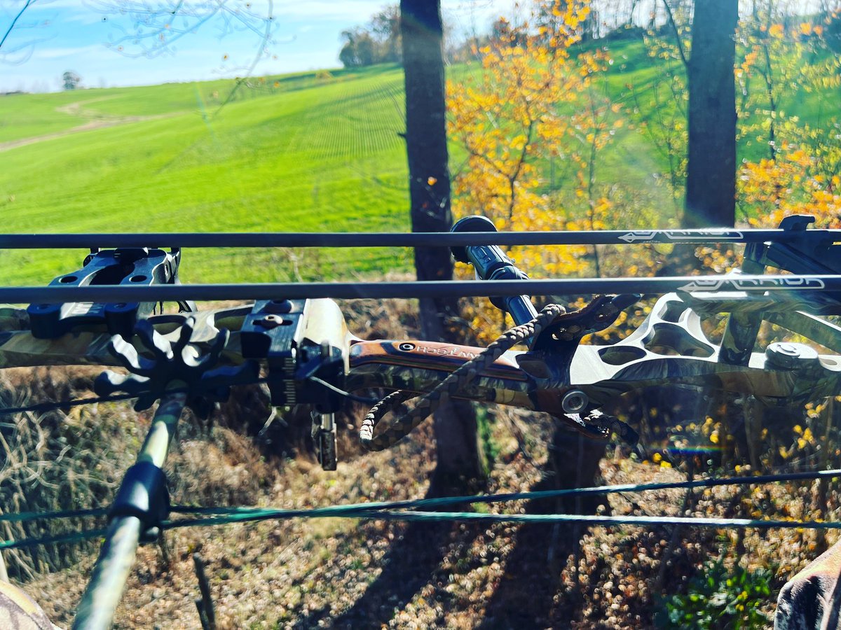 Kentucky gun opener tomorrow November 11. Getting in some bow hunting while the deer are chasing. 

Been using the same @BowtechArchery Guardian since 2008 and it still shoots accurate and smooth. Usually shoot Full Metal Jacket’s but trying out Gold Tip Warriors.