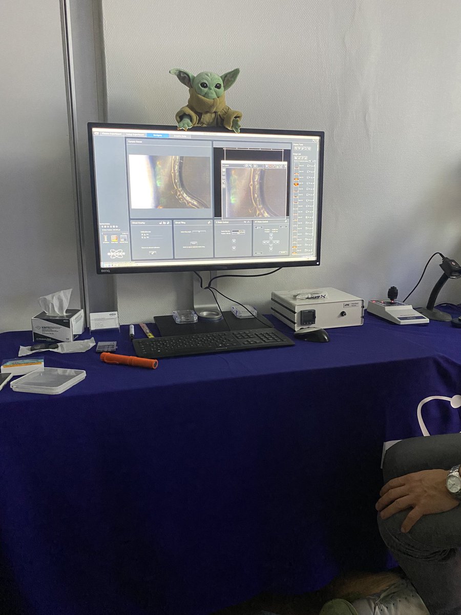 Trying AFM under the supervision of Grogu 😀at ⁦<a href="/bruker/">Bruker</a>⁩ in #mifobio2023