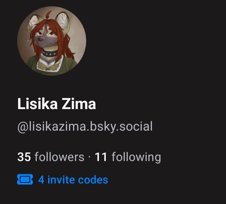 Lìsika Zima tweet media