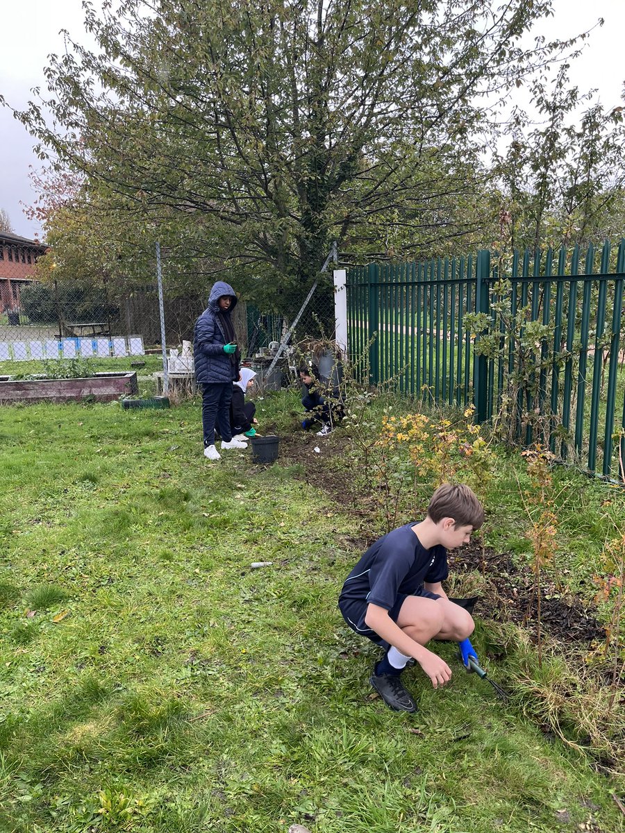 Year 9s working really hard in the Springwest Blooms garden today despite the rain
