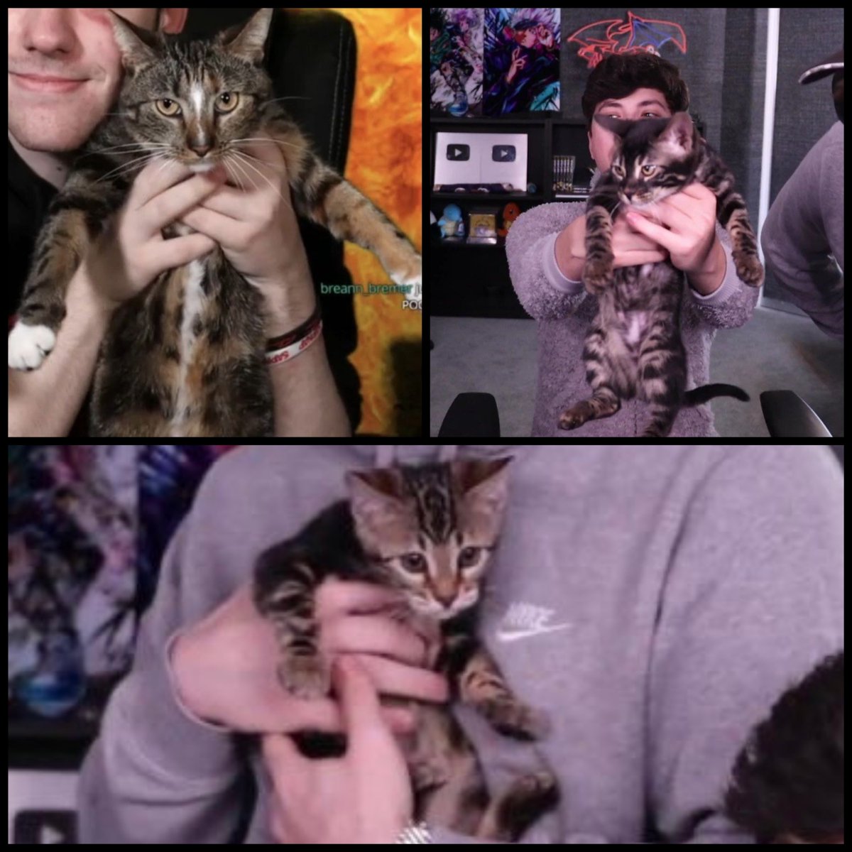 I'm so in love with all of them