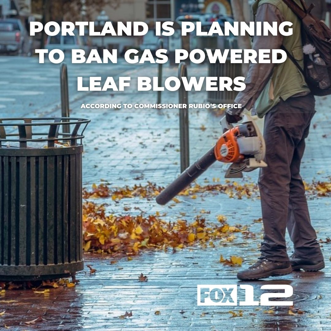 Portland electric sale blower