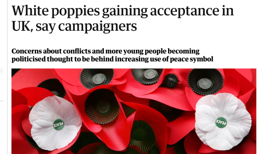 nomoremonarchs's tweet image. &apos;Prince&apos; William Windsor promised to devote his life to #MiddleEastPeace. But he&apos;s done nothing. He hasn&apos;t even worn a #WhitePoppy. 
#PrinceOfPledging #royalfraud #NotMyPrince #Gaza #Remembrance #RemembranceDay