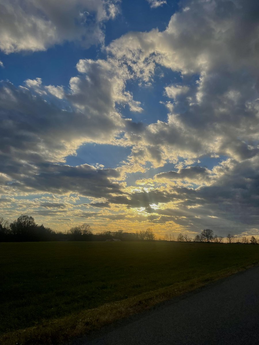 mpicsb's tweet image. 