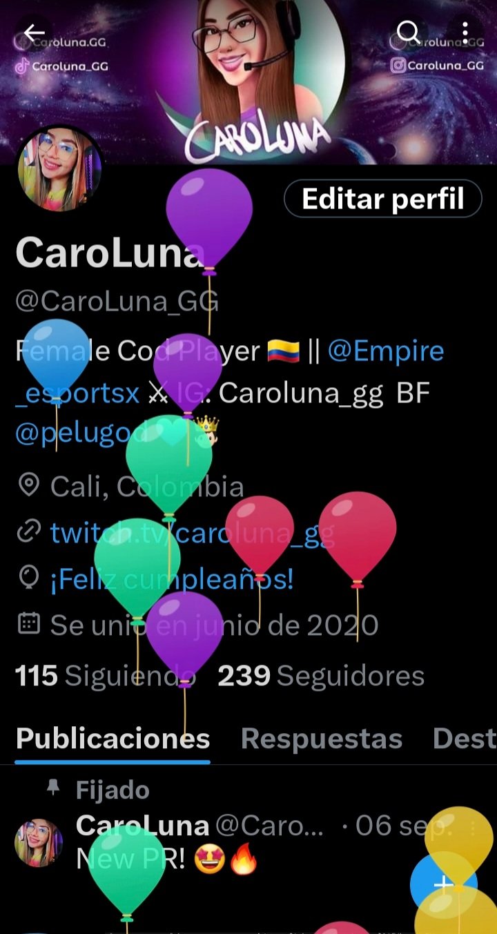 Caroluna top
