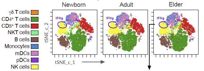 Standard_BioT's tweet photo. Age can be a big factor in how effective a vaccine might be. Mapping age-specific immune responses offer valuable lessons to help increase vaccine efficacy across all ages and thus reduce challenges with immunogenicity: https://t.co/In1Z1HvBv1
#CyTOF #immuneprofiling #cytokines https://t.co/BuM4zdxyJ6