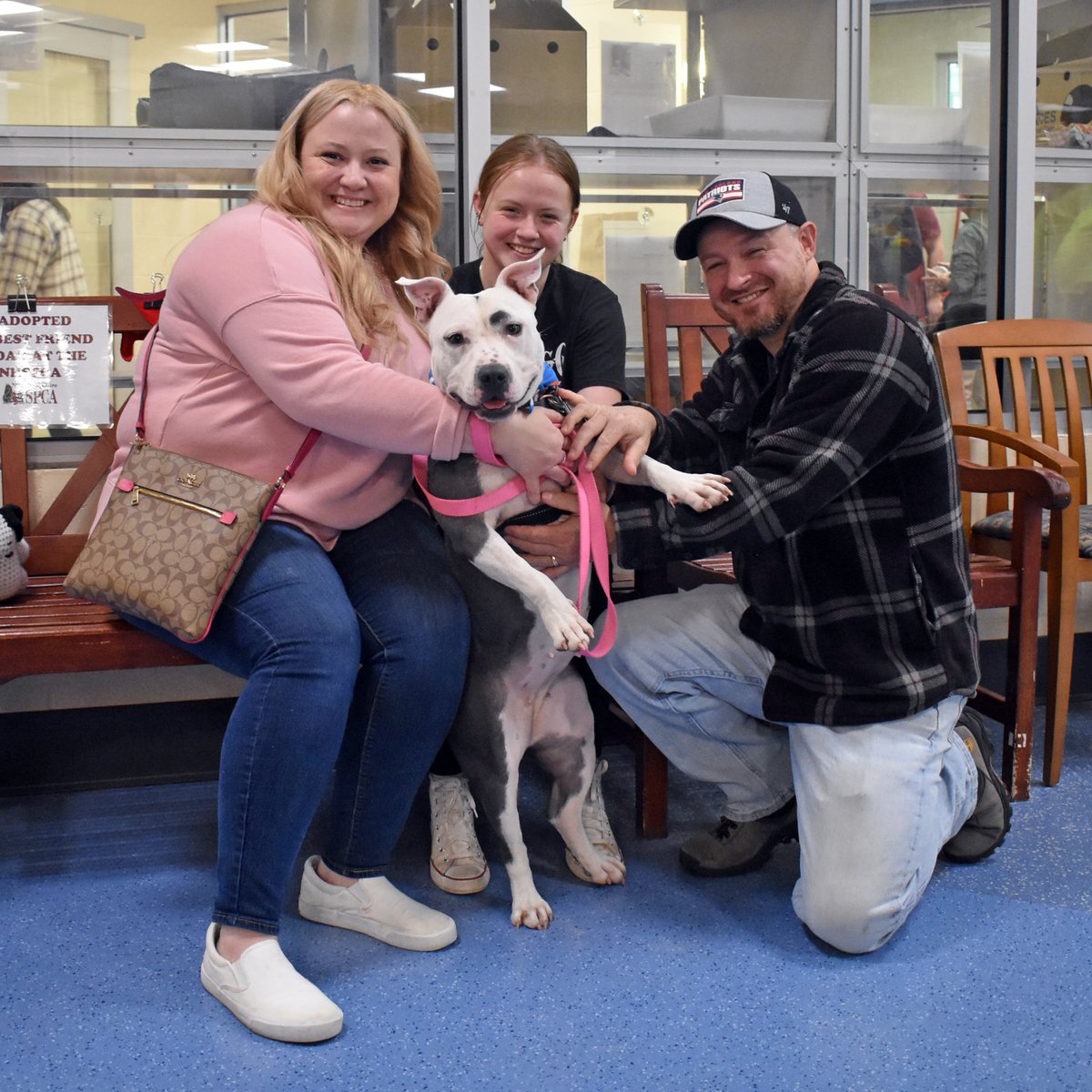 After more than 2 months, our longest-tenured dog, Meg, has finally found her forever home! #FeelGoodFriday #homeatlast
