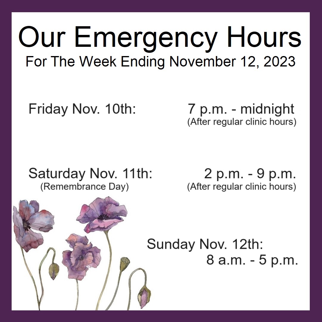 ExoticPetVets's tweet photo. Tonight's #EmergencyHours are from 7 p.m. until midnight, on Saturday from 2 p.m. to 9 p.m. and on Sunday from 8 a.m. to 5 p.m. On #RemembranceDay, please also remember the countless animals who suffered and died as a result of war. #TheyHadNoChoice #LestWeForget #PurplePoppy https://t.co/kixfKH2Xsk