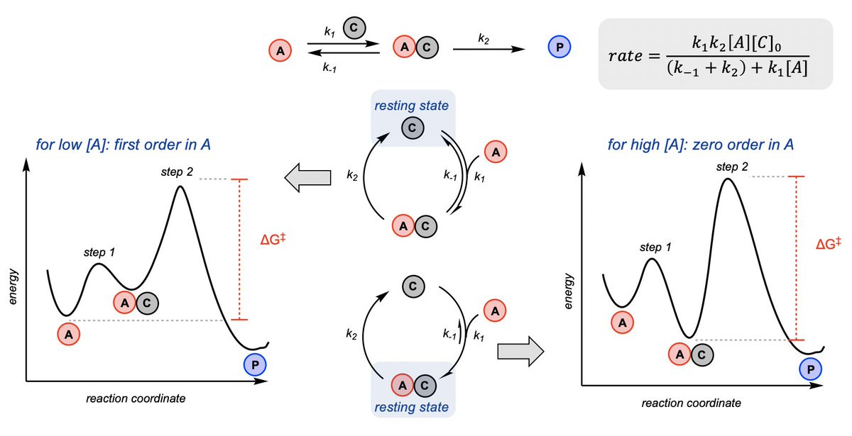 Synthesis Workshop (@matthewhorwitz1) on Twitter photo Episode #2 of the Synthesis Workshop Advanced Organic Chemistry course is live now - come watch <a href="/DennisKutatela1/">Dennis Kutateladze</a> teach kinetics!!
Link: youtu.be/Owyoz3rdCX8 Episode #2 of the Synthesis Workshop Advanced Organic Chemistry course is live now - come watch <a href="/DennisKutatela1/">Dennis Kutateladze</a> teach kinetics!!
Link: youtu.be/Owyoz3rdCX8
