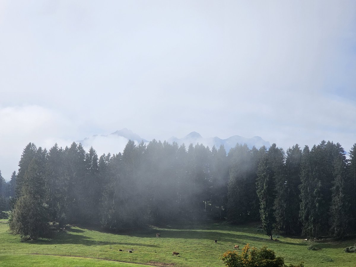DorothyOstra's tweet photo. @russellcrowe Good morning, it looks like your chapel has hidden. I'm sending you European fog, straight from the Alps. Do you like it? https://t.co/B48RlZkzLF