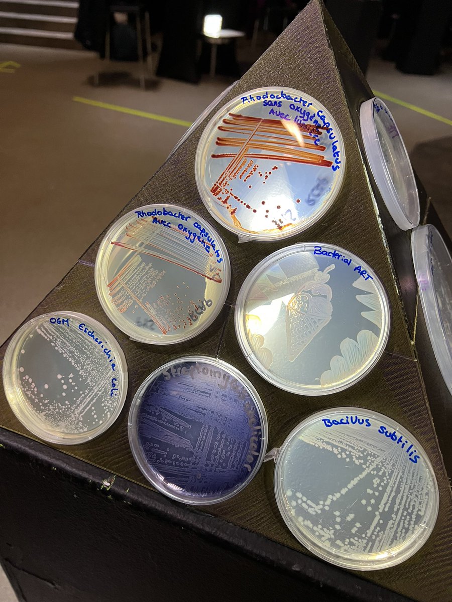 Brun Lab tweet media