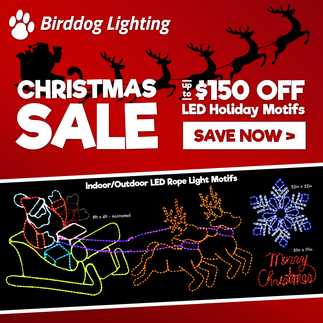 Birddog Lighting BirddogLighting Twitter Profile Sotwe