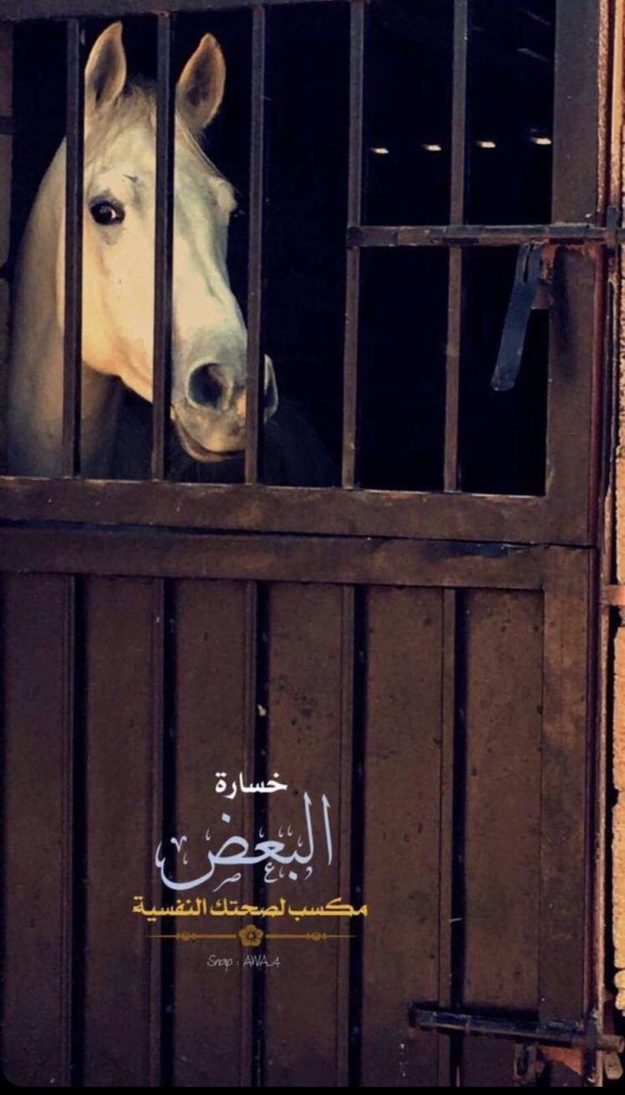 انثى مخمليه (@alfarseh2010) on Twitter photo 