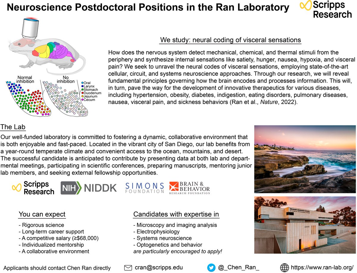 My new lab @scrippsresearch is hiring at all levels. We study the neural mechanisms underlying visceral sensations. If you are going to #SfN2023 , come and see my poster PSTR272.13, AA13 on Monday afternoon. jobrxiv.org/job/postdoctor… Please RT!
