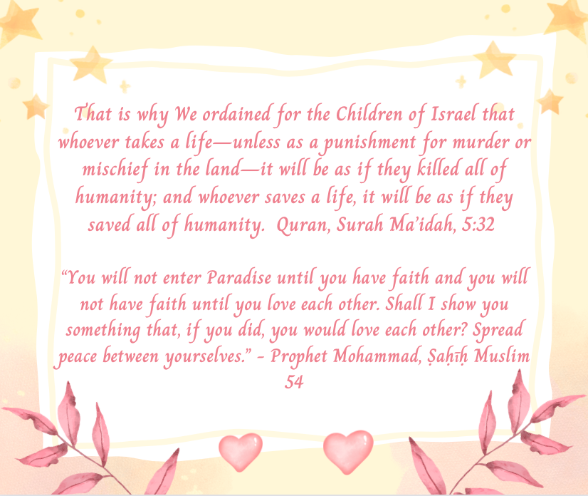 Hoda McClymont (@hoda_mcclymont) on Twitter photo 