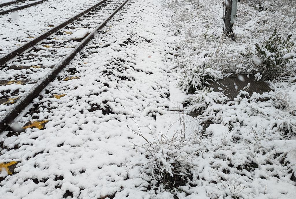 初雪観測ばり寒いっす 