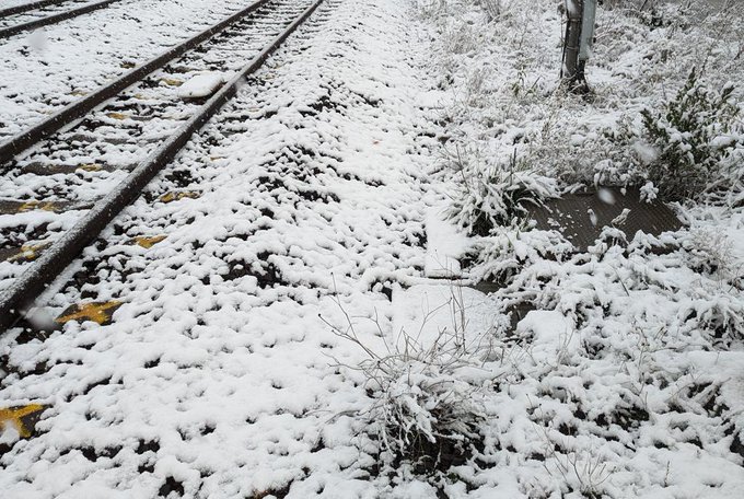 初雪観測ばり寒いっす 
