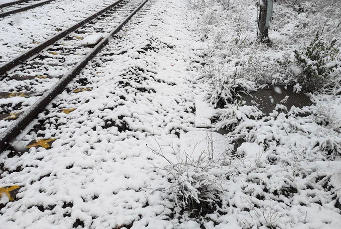 初雪観測ばり寒いっす 