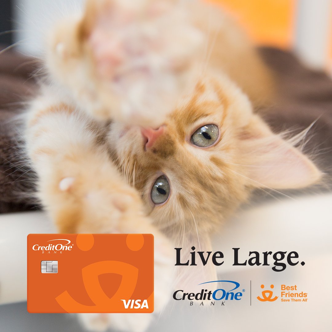 Credit One Bank (@creditonebank) on Twitter photo Using the Best Friends® Credit Card you can make PAWsitive impact this year, with 1% of your eligible purchases going to <a href="/bestfriends/">Best Friends</a>.
Learn more: spr.ly/6011uWOvF Using the Best Friends® Credit Card you can make PAWsitive impact this year, with 1% of your eligible purchases going to <a href="/bestfriends/">Best Friends</a>.
Learn more: spr.ly/6011uWOvF