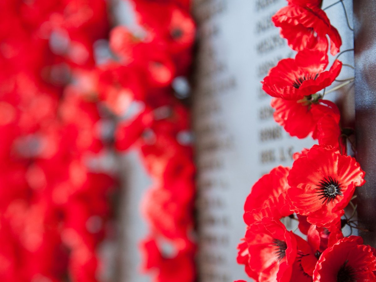 At the School’s Remembrance Day Assembly, Year 11 student, Scarlett Bennett, presented the Remembrance Day Address.

Girls Grammar honours the contributions of all who have served our nation. Lest we forget. 

Read the full address: bit.ly/3u6MPoR