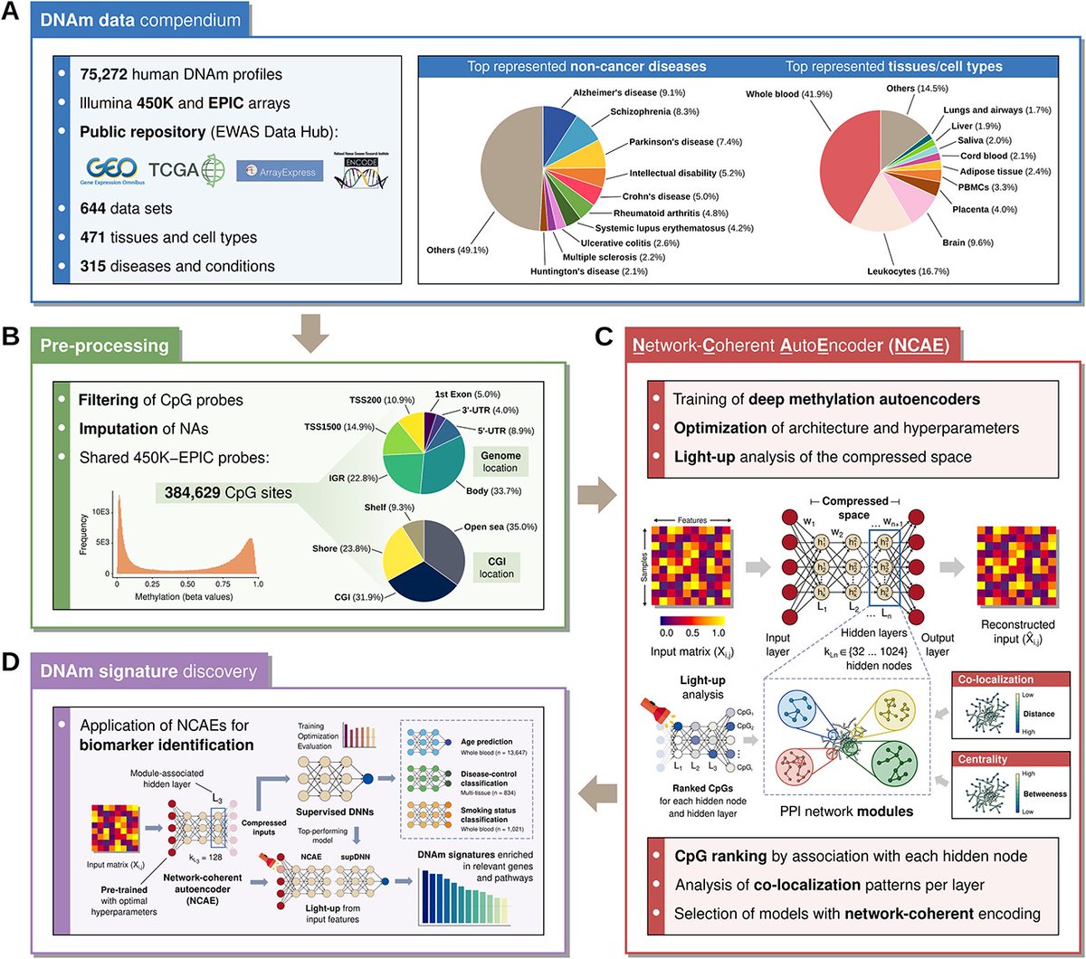 Sygdreas's tweet image. AI Revolution in Precision Medicine:
Researchers at Linköping University harness the power of AI to analyze epigenetic data from over 75,000 samples. academic.oup.com/bib/article/24…
#AIBioinformatics #PrecisionMedicine #antiaging #Bioinformatics