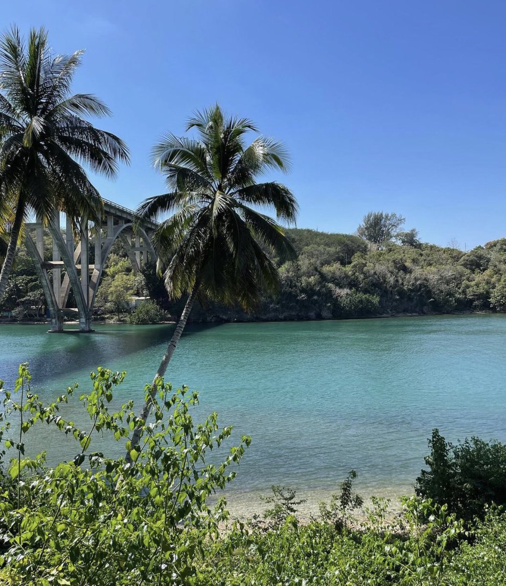 _varadero's tweet photo. It is such a beautiful spot and it is called Canimar River! 💚💚💚
Find us here 👉https://t.co/6kkCdN8Jtp
📸pindle.cuba (IG)
#nature #MatanzasCity #Cubatravel https://t.co/sR81ca0gPj