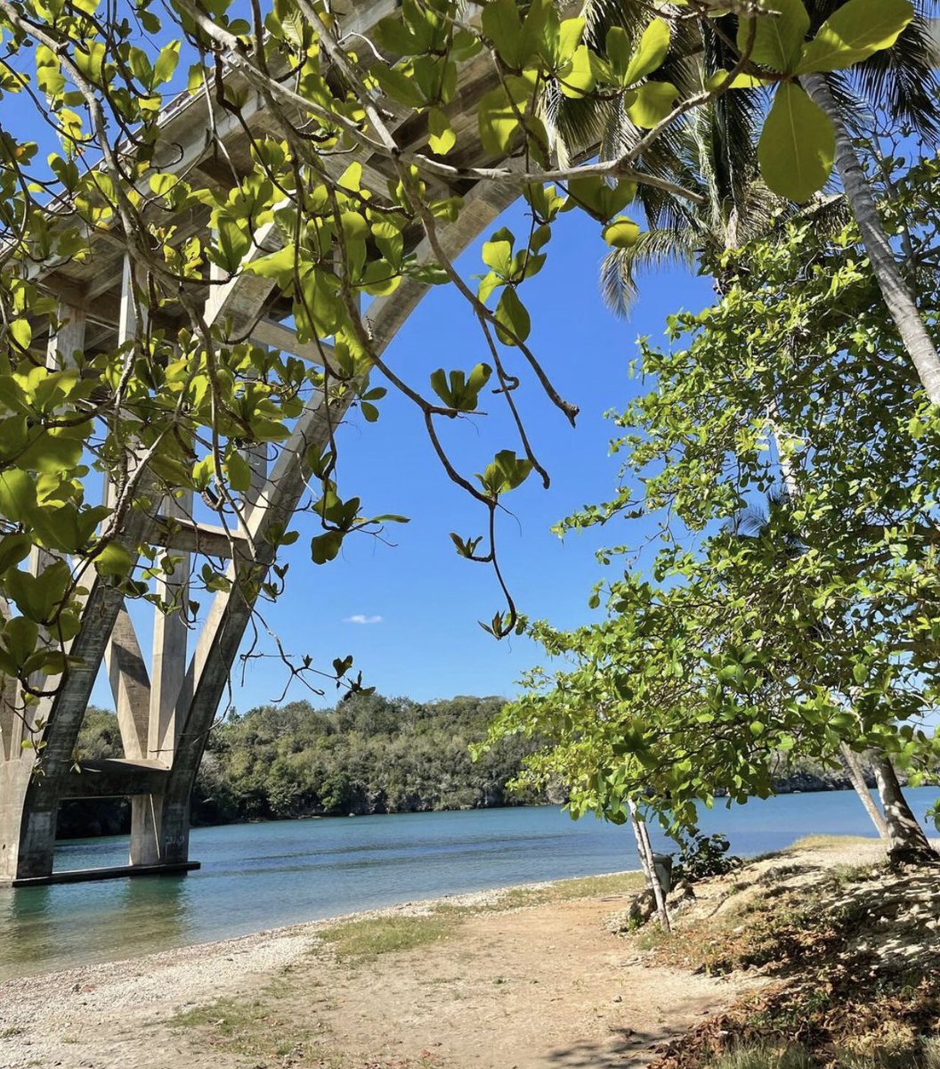 _varadero's tweet photo. It is such a beautiful spot and it is called Canimar River! 💚💚💚
Find us here 👉https://t.co/6kkCdN8Jtp
📸pindle.cuba (IG)
#nature #MatanzasCity #Cubatravel https://t.co/sR81ca0gPj