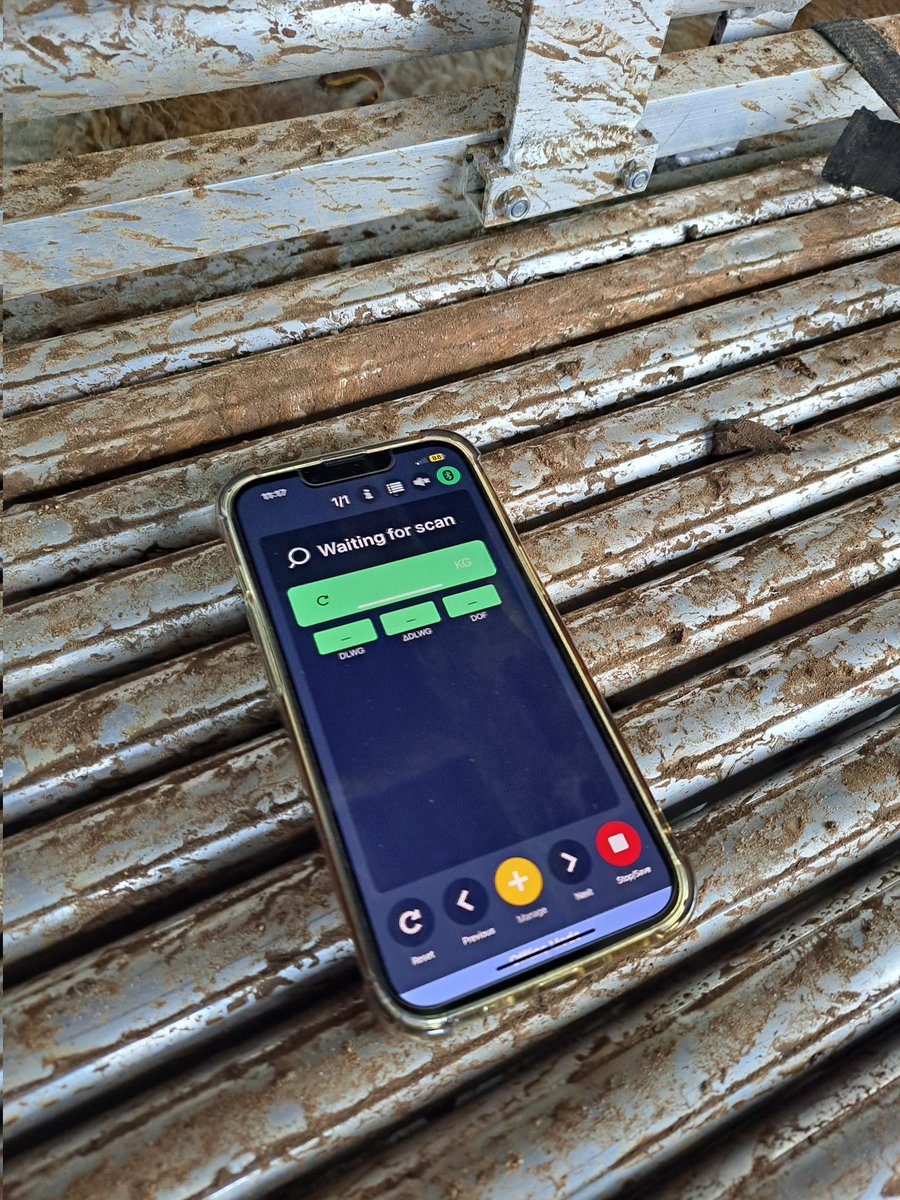 AdvisoryBlyth's tweet photo. On farm yesterday morning, supplying some advice on how they can get more out of their EID equipment, what data you can capture, and how they can use the data to monitor livestock performance. #TruTest #Gallagher #Sheep #DataAnalytics #farming #sheepfarming #datadrivendistion https://t.co/Fd2udxClkL