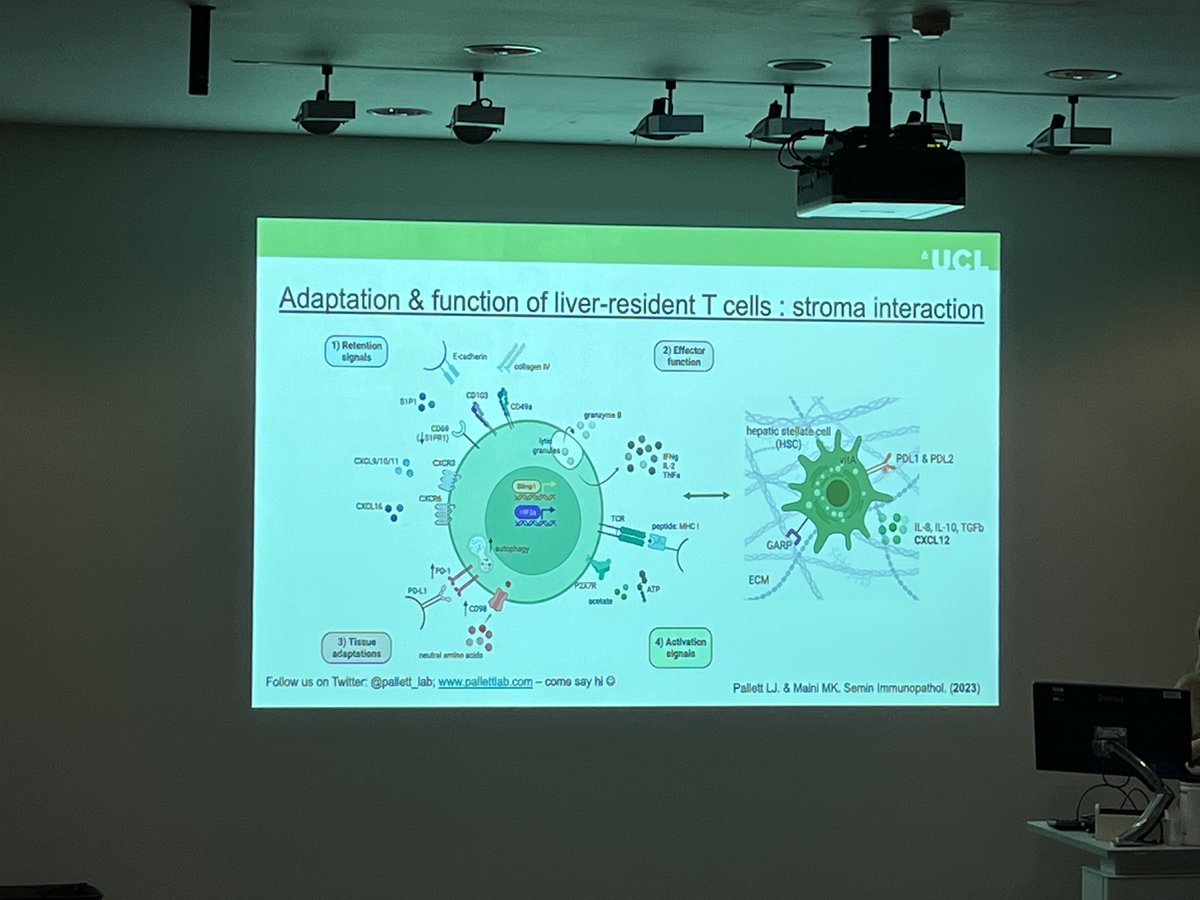 It was absolutely great to meet @ljpally19 @pallett_lab this week at the @LydiaBeckerIII @britsocimm Manchester Immunology group. Really interesting how liver-resident CD8+ T cells can acquire myeloid properties 🤯. Here’s a link to her latest paper: pubmed.ncbi.nlm.nih.gov/36697826/