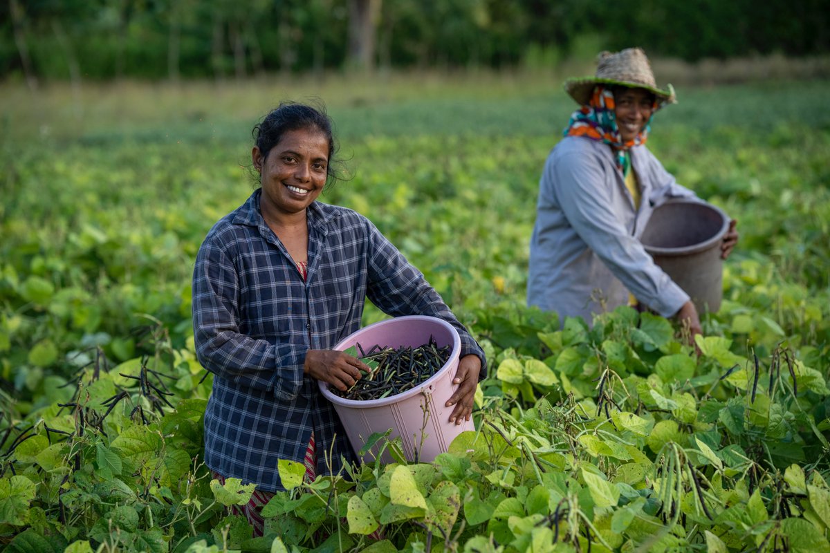 This year's #APClimateWeek starts on 13 November in Malaysia.

Governments, scientists & civil society across the Asia-Pacific region are coming together to discuss climate solutions around energy, transport, land use, health & more.

Learn more & join us: go.undp.org/UhcT