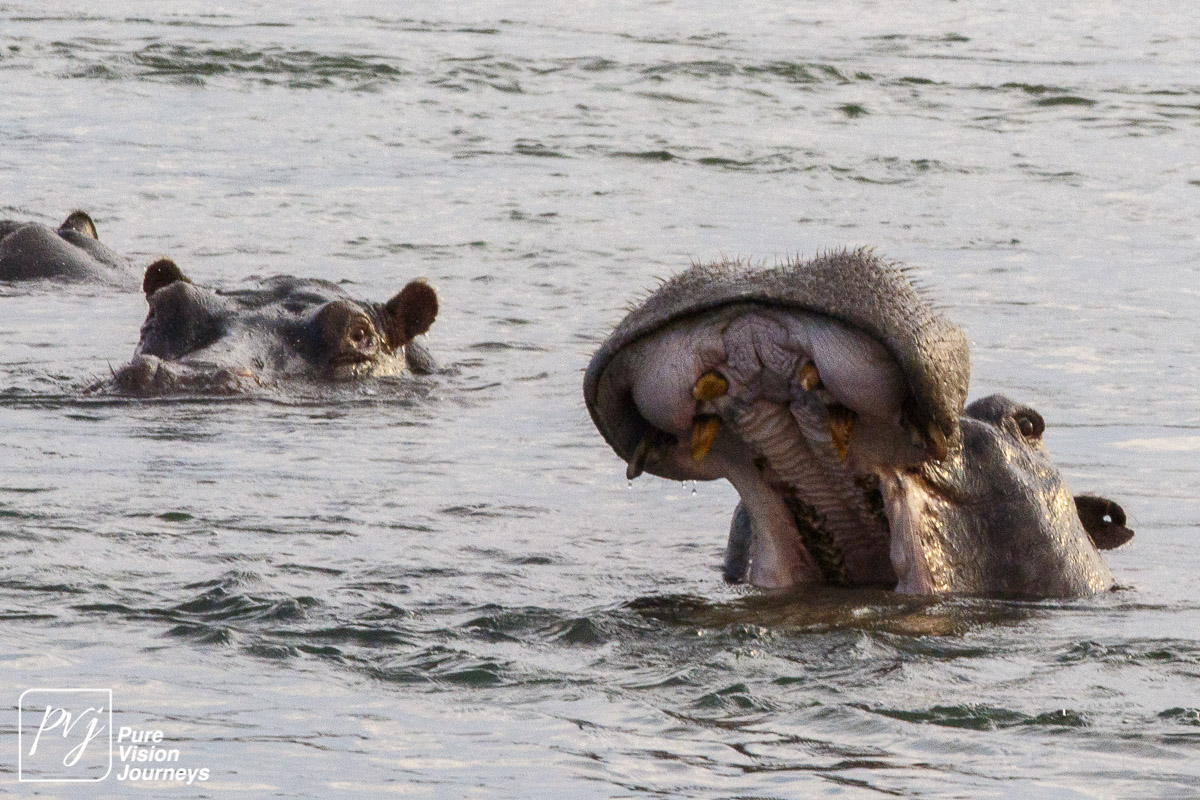 Toka Leya, an ideal base for some great adventures amirinia.com/toka-leya-an-i…