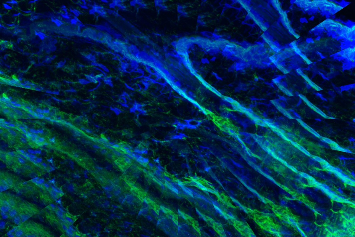 JabbariLab's tweet photo. Congratulations to our very own Cristina Dix for winning 2nd place in her division of the 2023 Capture your Research Contest! Check out her piece titled: Geometric Follicle! https://t.co/IlIv4saBfA