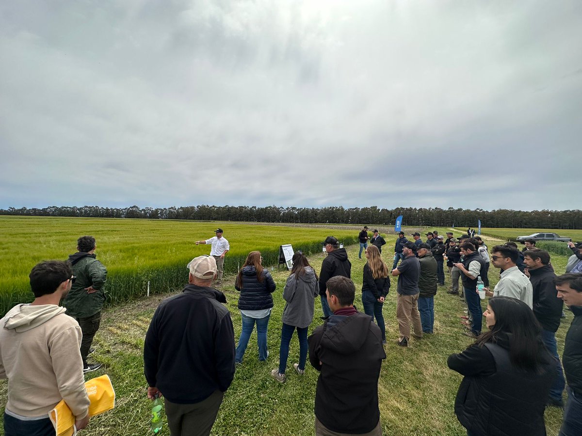 Facundo Camerini tweet media