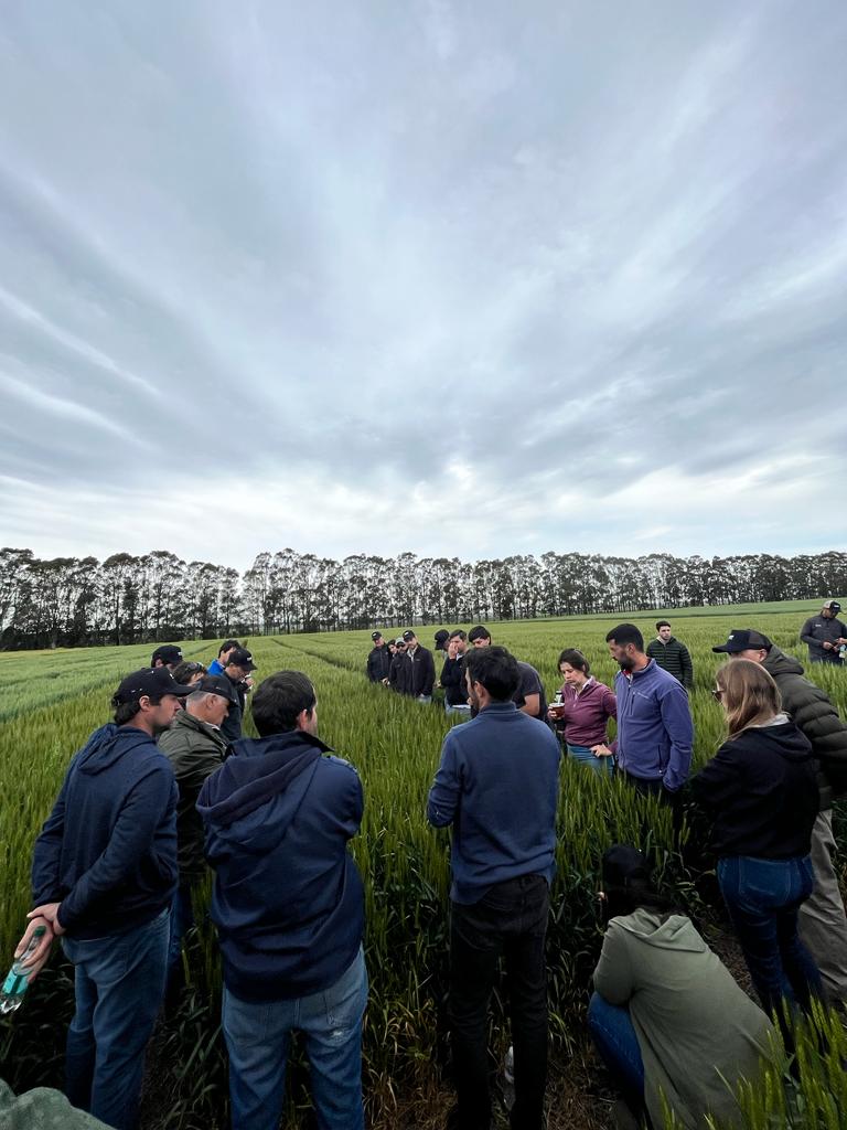 Facundo Camerini tweet media