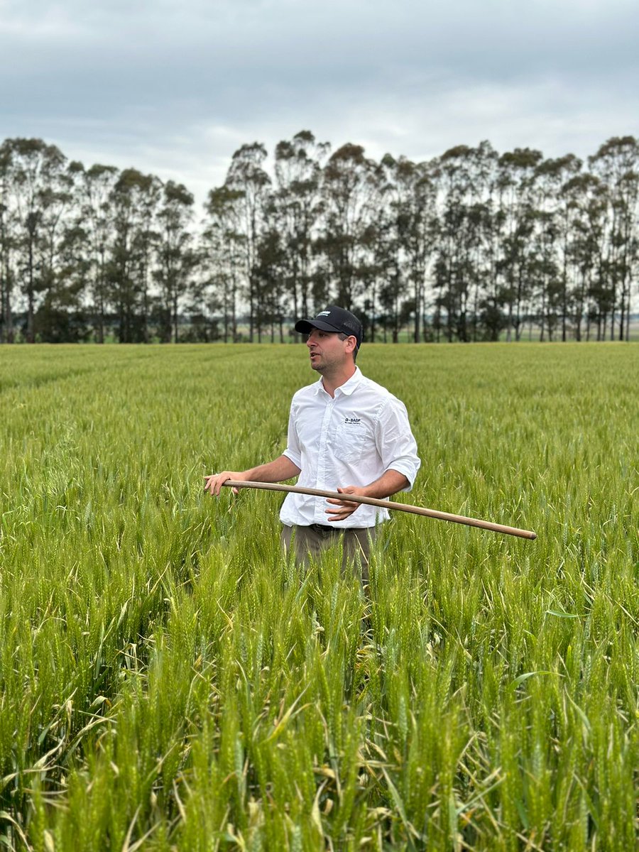 Facundo Camerini tweet media